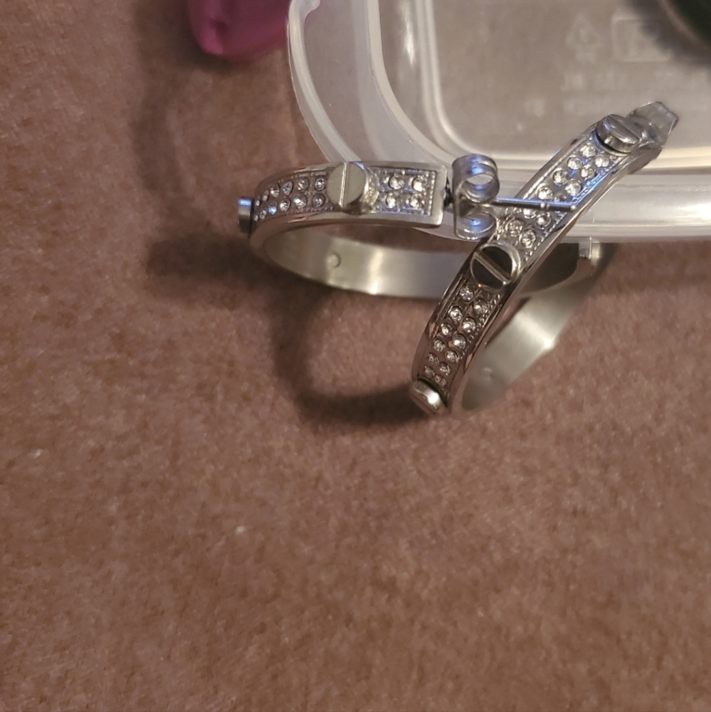 Stainless Steel CZ hoop earrings
